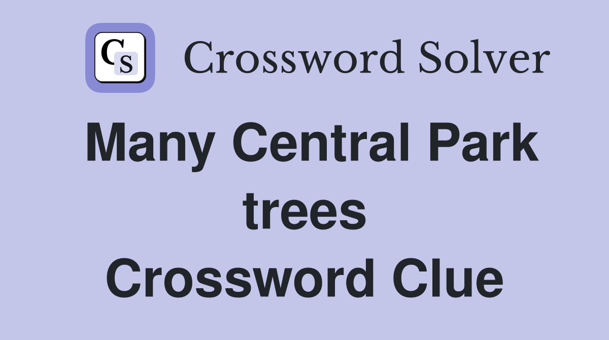 Many Central Park trees Crossword Clue