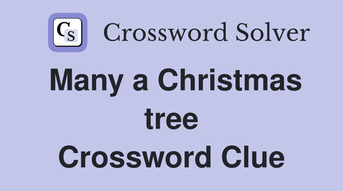 Many a Christmas tree Crossword Clue