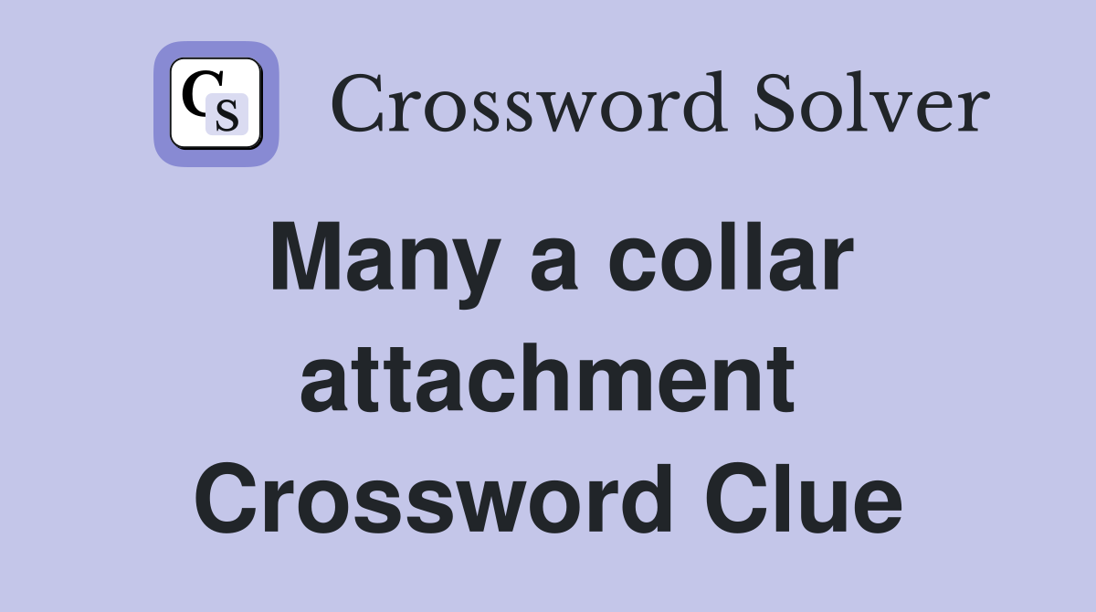 Many a collar attachment Crossword Clue