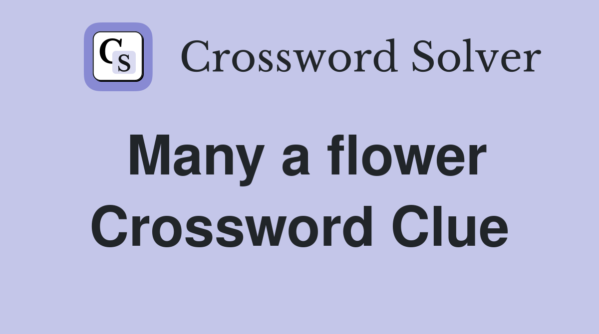 Many a flower Crossword Clue