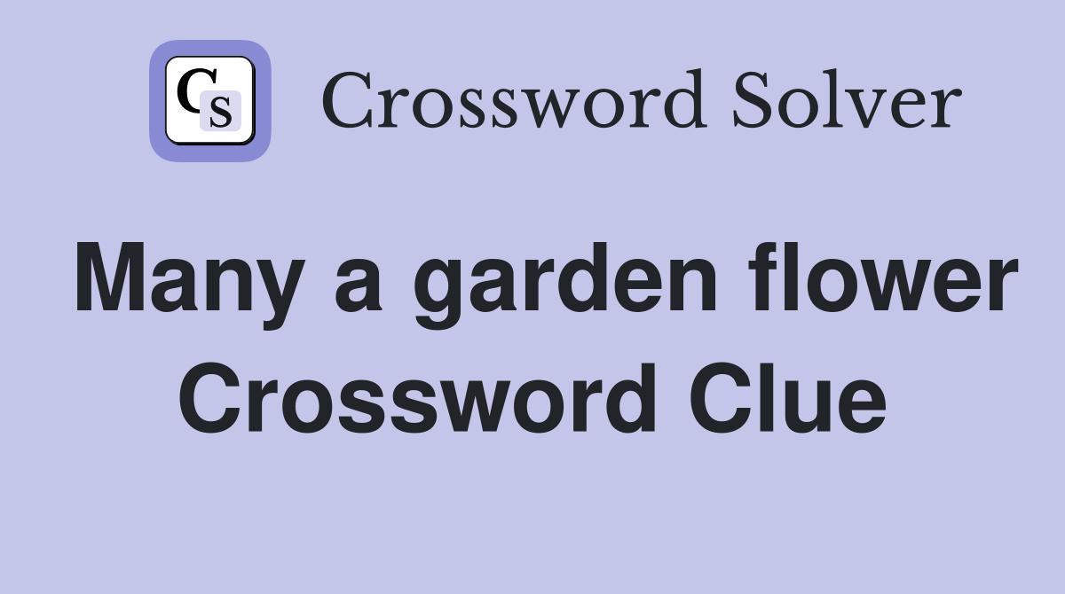 Many a garden flower Crossword Clue