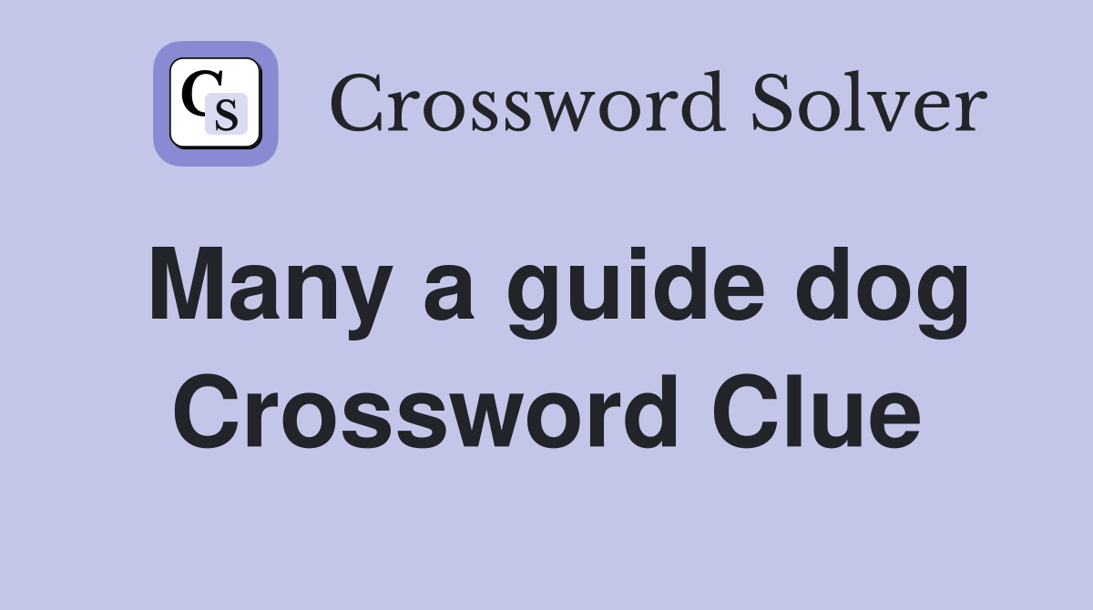 Many a guide dog Crossword Clue