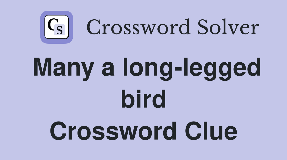 Many a long-legged bird Crossword Clue