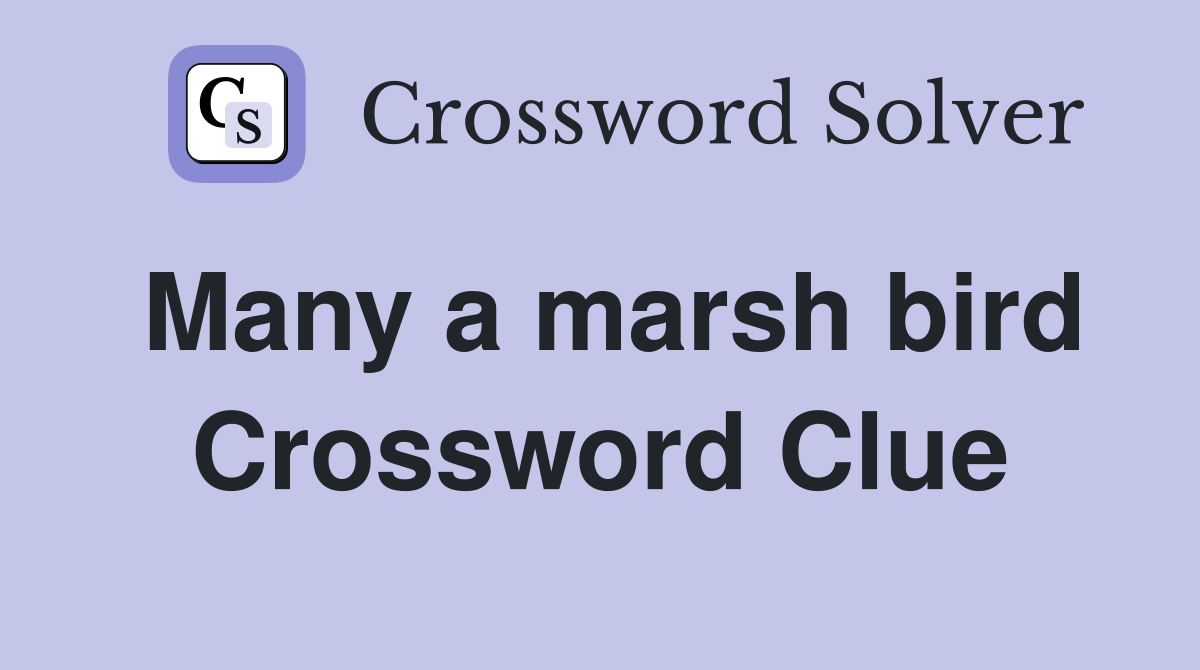 Many a marsh bird Crossword Clue