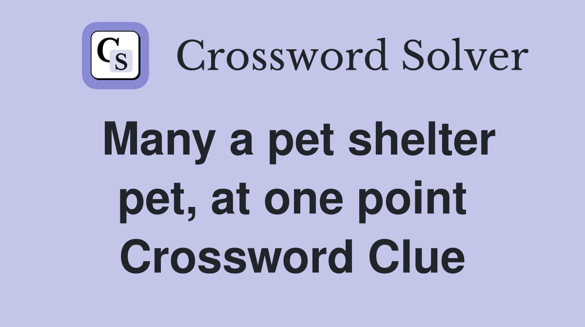 Many a pet shelter pet, at one point Crossword Clue