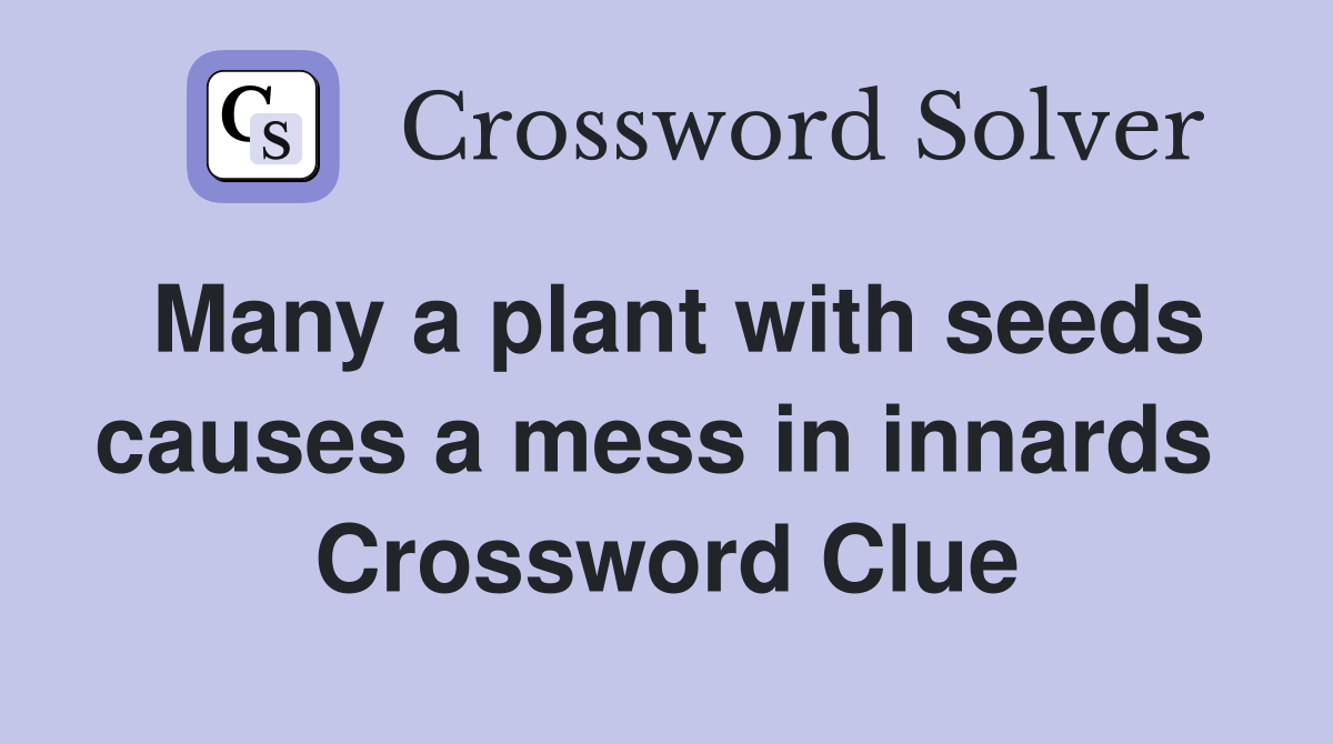 Many a plant with seeds causes a mess in innards  Crossword Clue