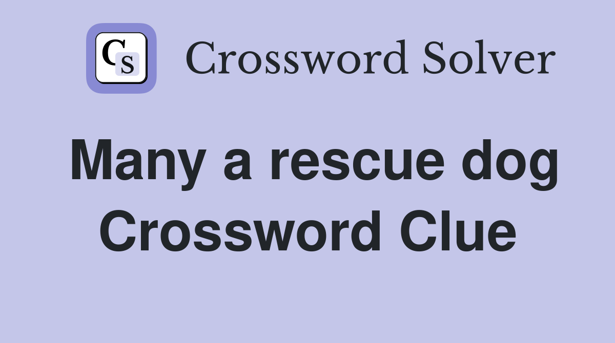 Many a rescue dog Crossword Clue