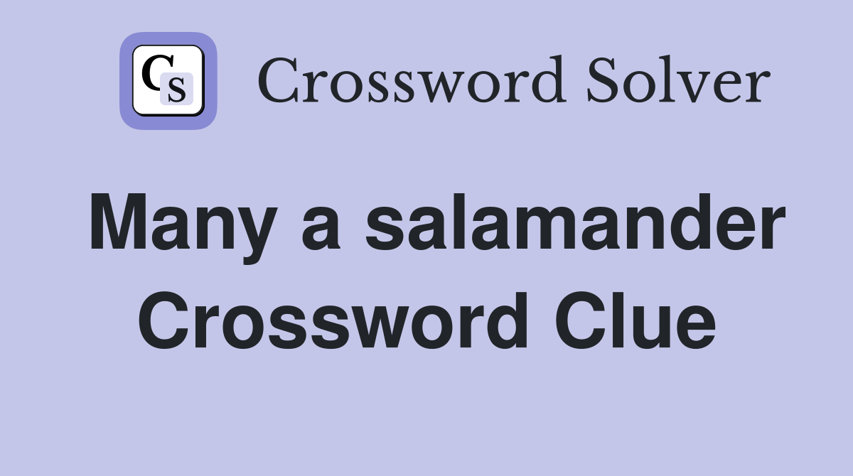 Many a salamander Crossword Clue