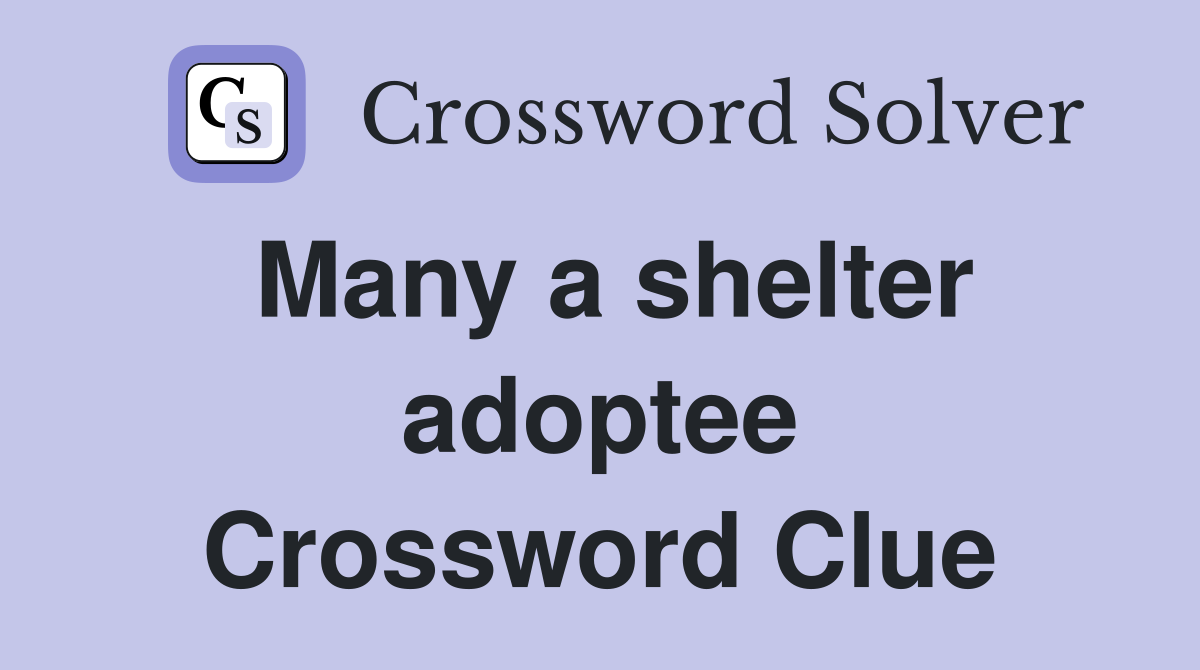 Many a shelter adoptee Crossword Clue