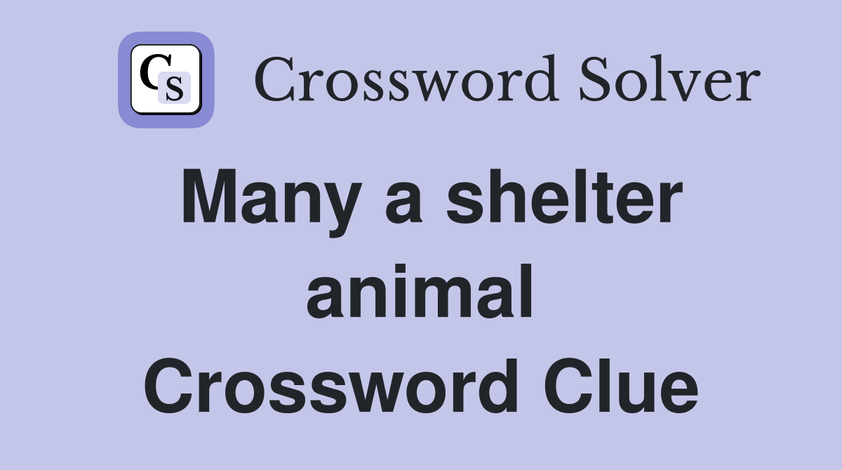 Many a shelter animal Crossword Clue