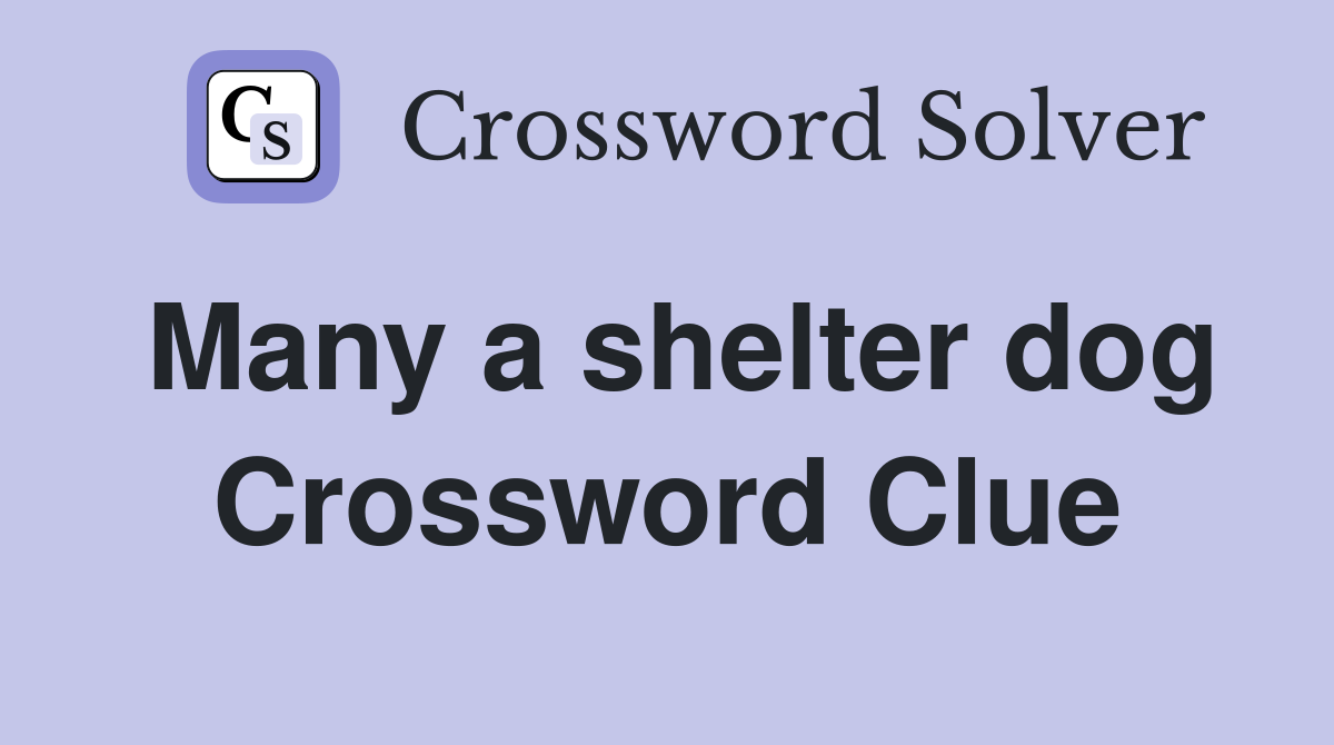 Many a shelter dog Crossword Clue