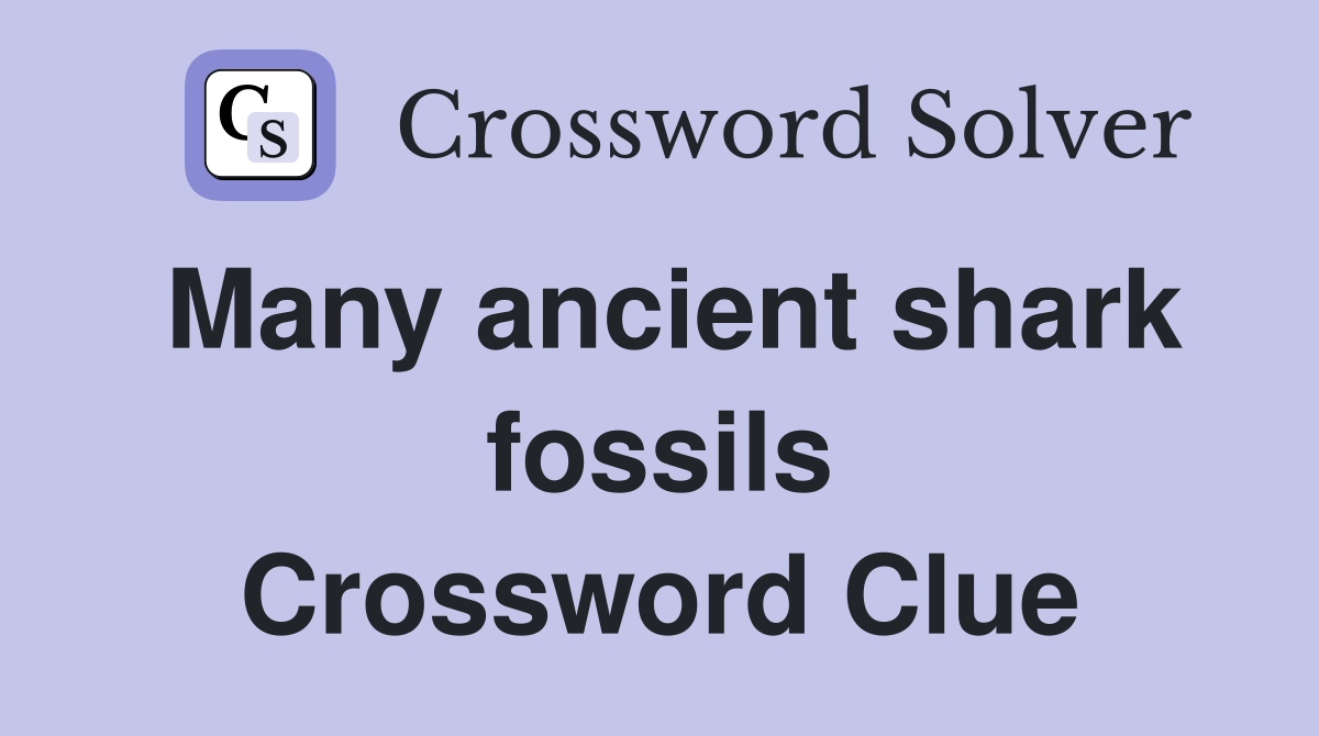 Many ancient shark fossils Crossword Clue