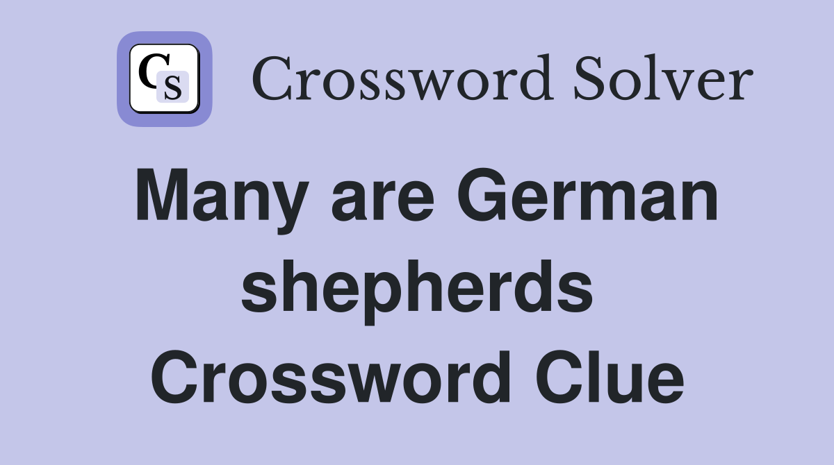 Many are German shepherds Crossword Clue