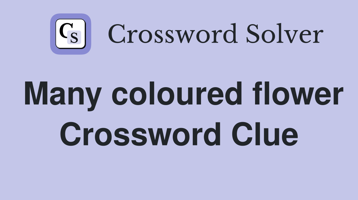 Many coloured flower Crossword Clue
