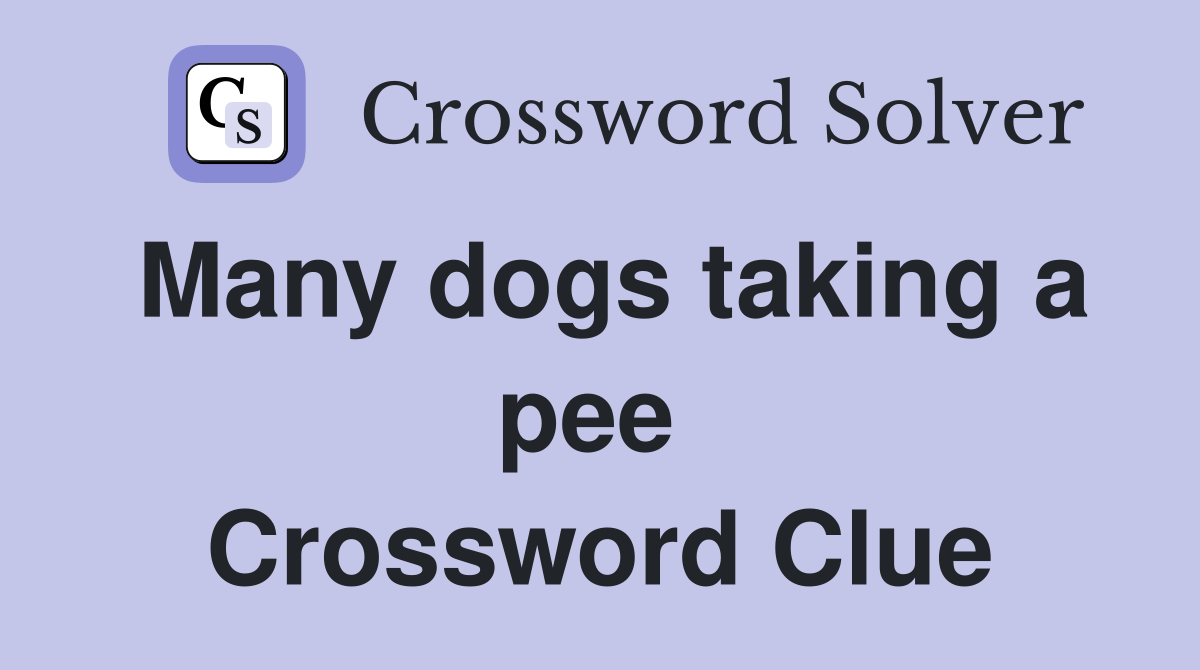 Many dogs taking a pee  Crossword Clue