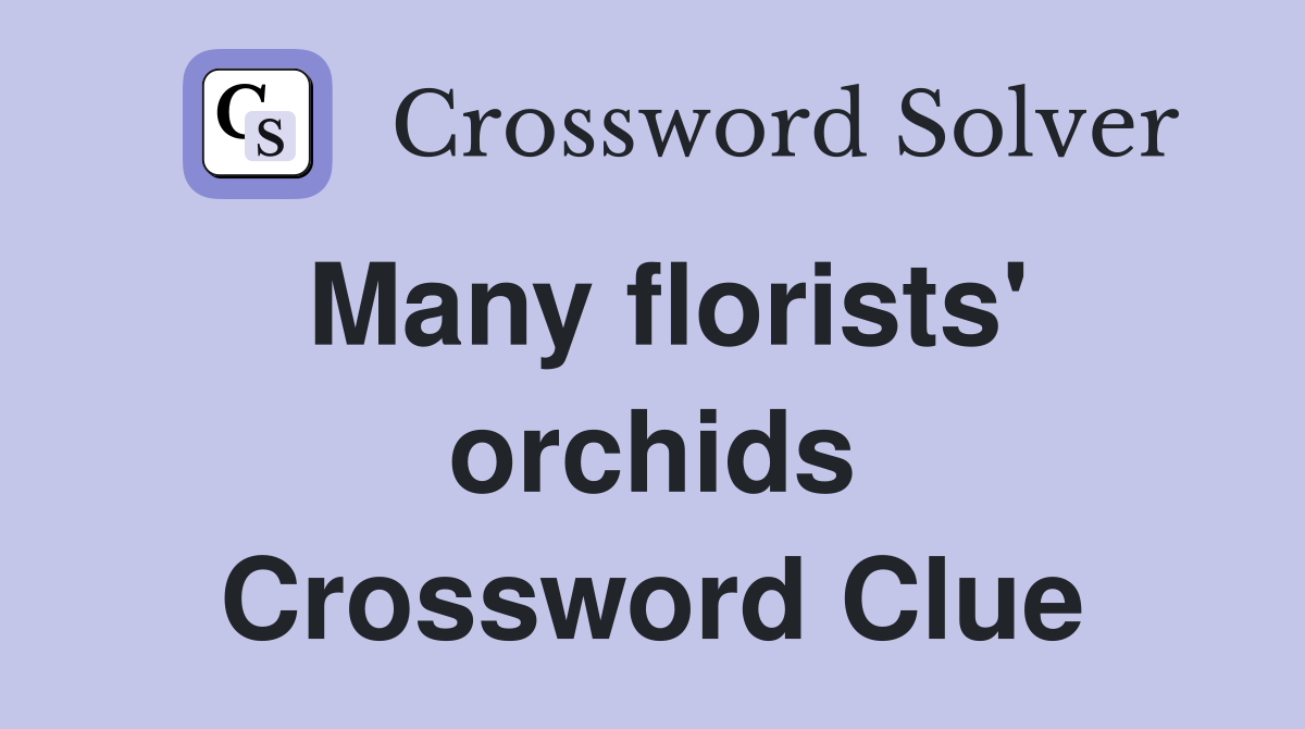 Many florists' orchids Crossword Clue