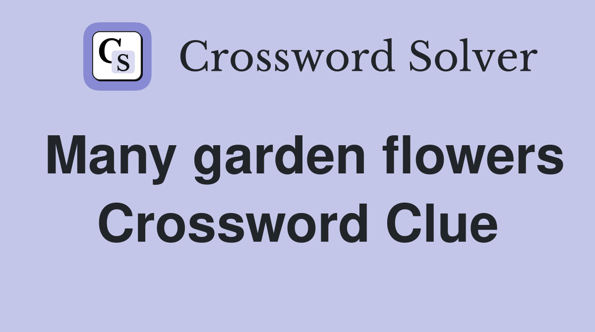Many garden flowers Crossword Clue