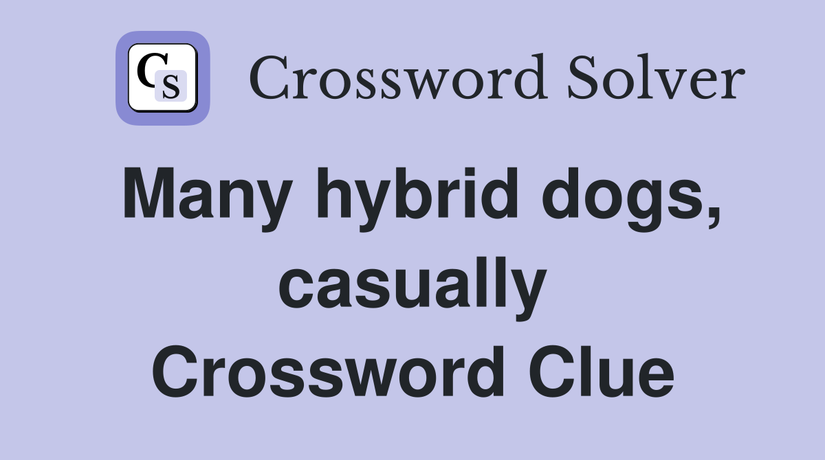 Many hybrid dogs, casually Crossword Clue
