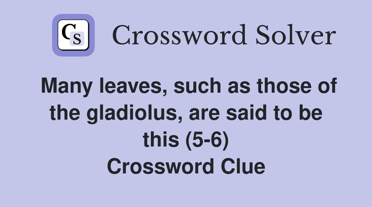 Many leaves, such as those of the gladiolus, are said to be this (5-6) Crossword Clue