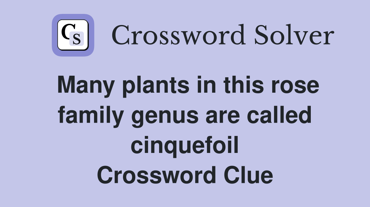Many plants in this rose family genus are called cinquefoil Crossword Clue