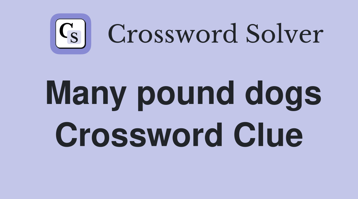 Many pound dogs Crossword Clue