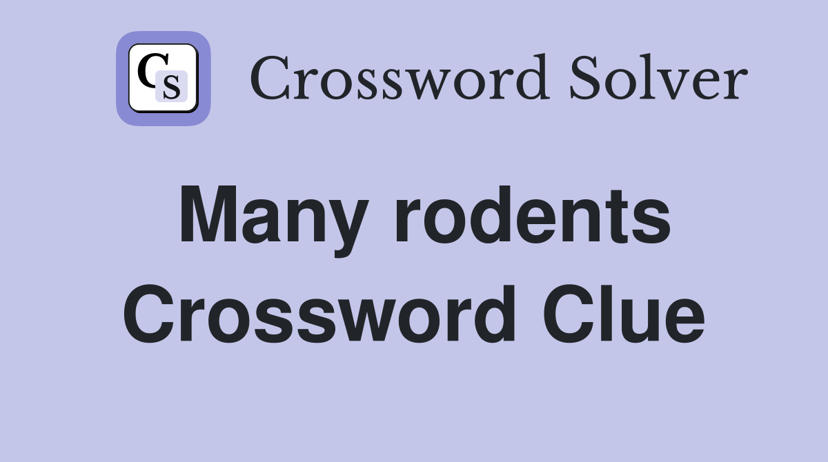 Many rodents Crossword Clue