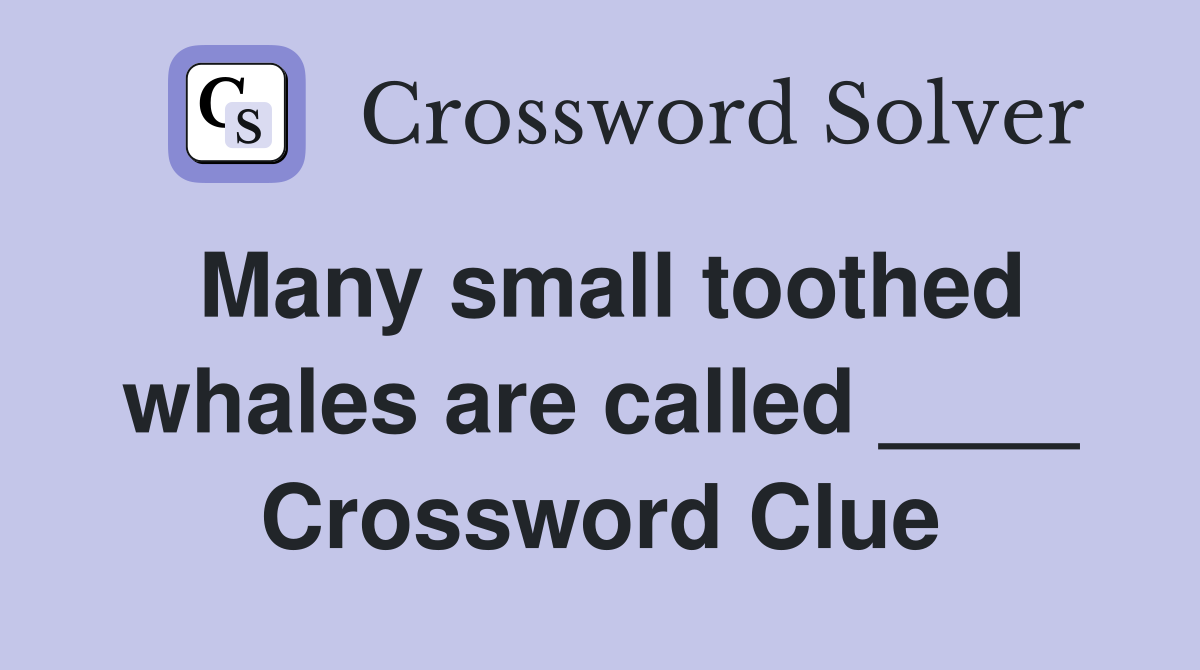 Many small toothed whales are called ____ Crossword Clue