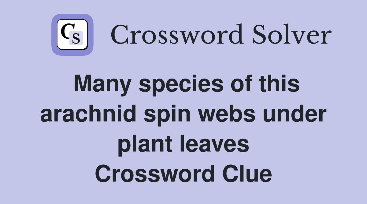 Many species of this arachnid spin webs under plant leaves Crossword Clue