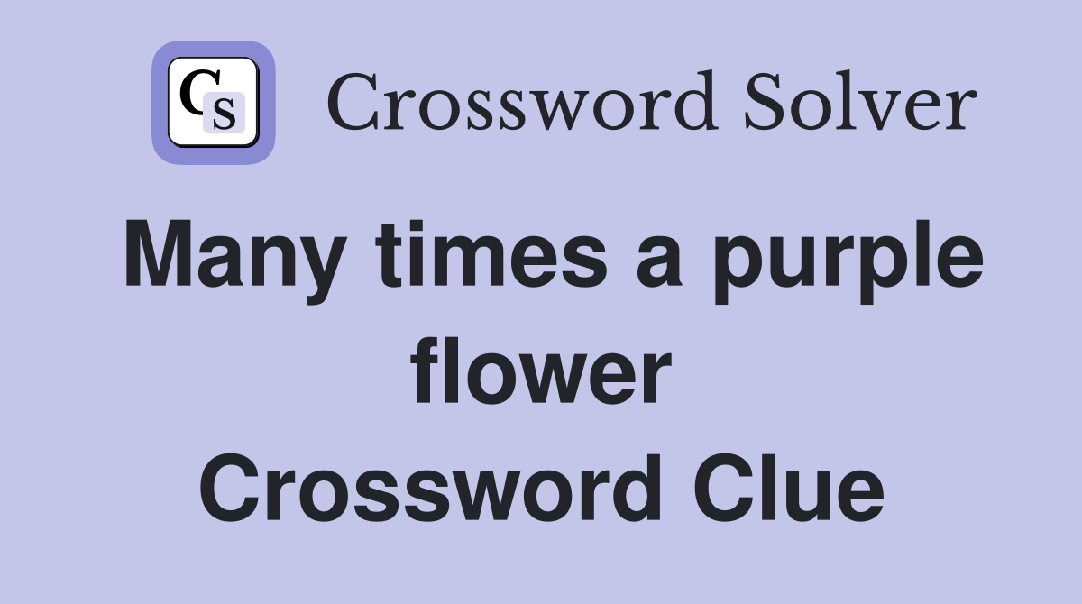 Many times a purple flower Crossword Clue