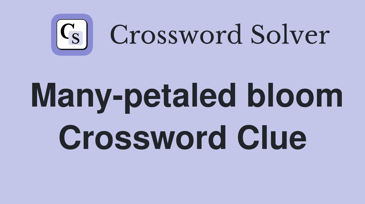 Many-petaled bloom Crossword Clue