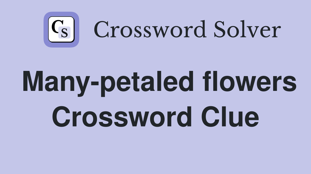 Many-petaled flowers Crossword Clue