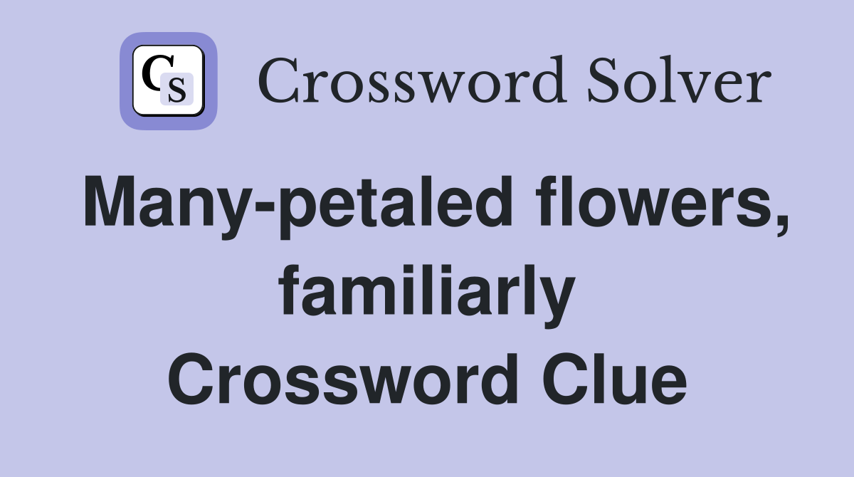 Many-petaled flowers, familiarly Crossword Clue