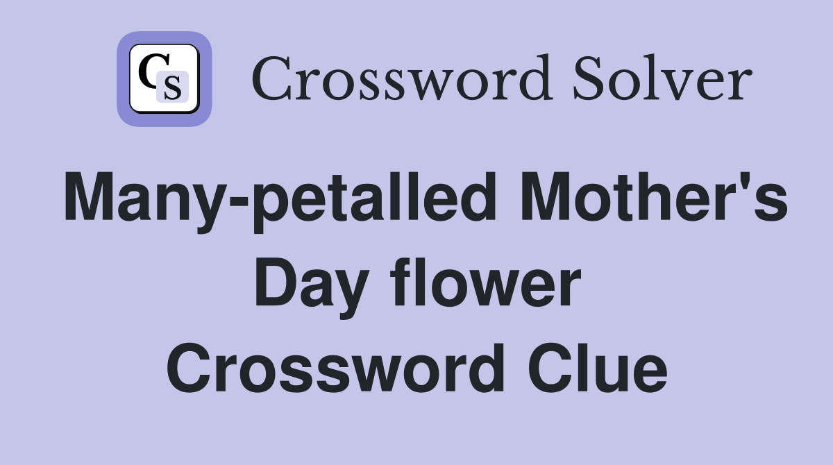 Many-petalled Mother's Day flower Crossword Clue