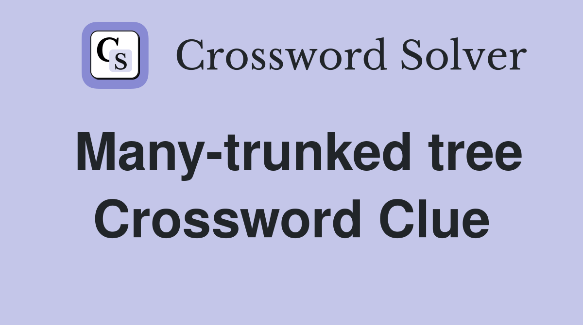 Many-trunked tree Crossword Clue