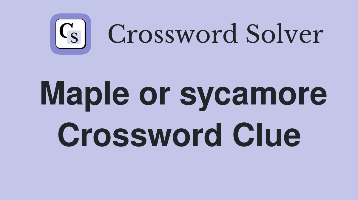 Maple or sycamore Crossword Clue