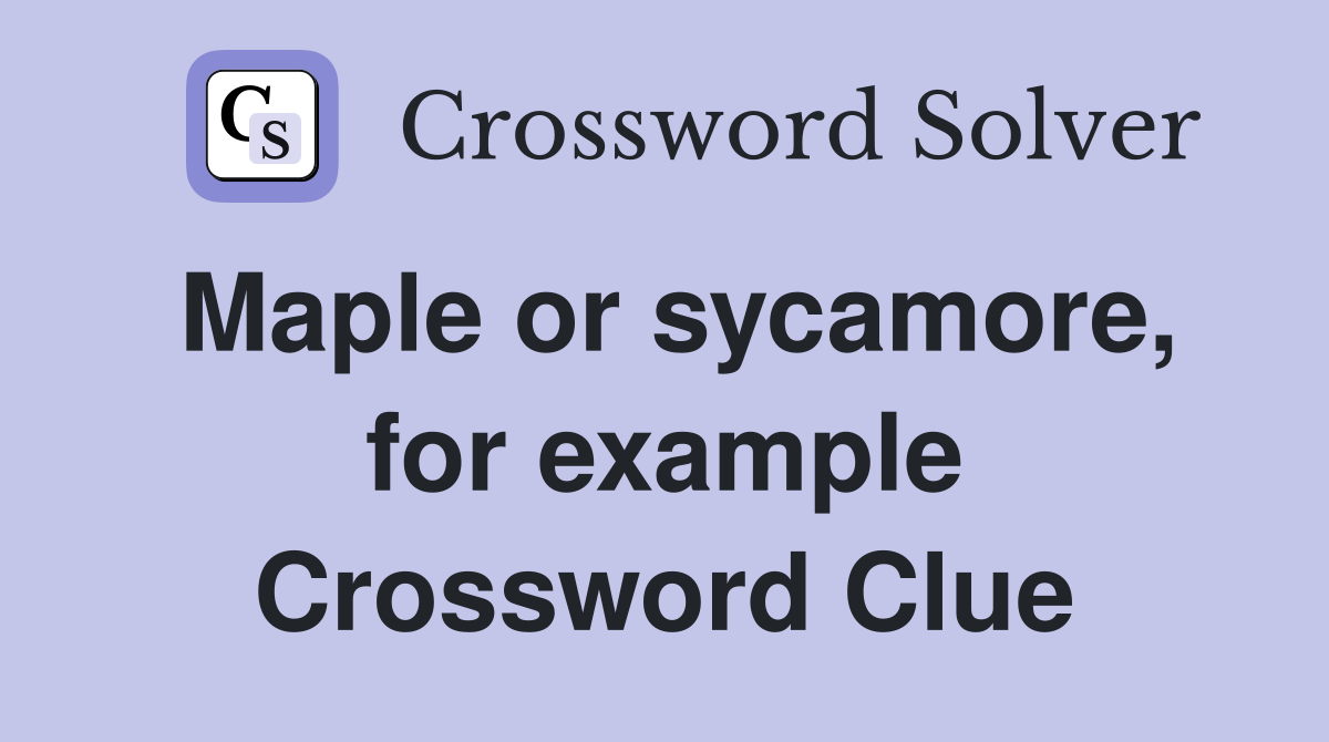 Maple or sycamore, for example Crossword Clue