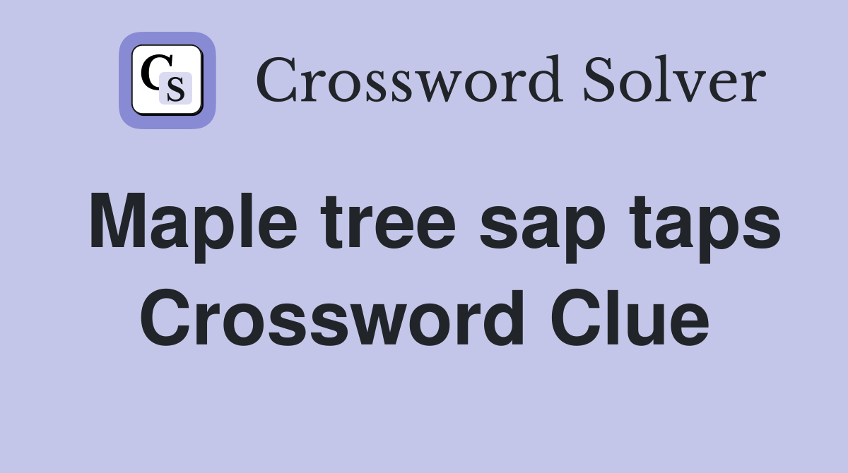 Maple tree sap taps Crossword Clue