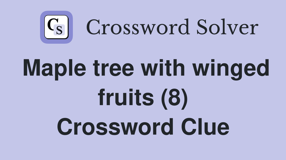 Maple tree with winged fruits (8) Crossword Clue