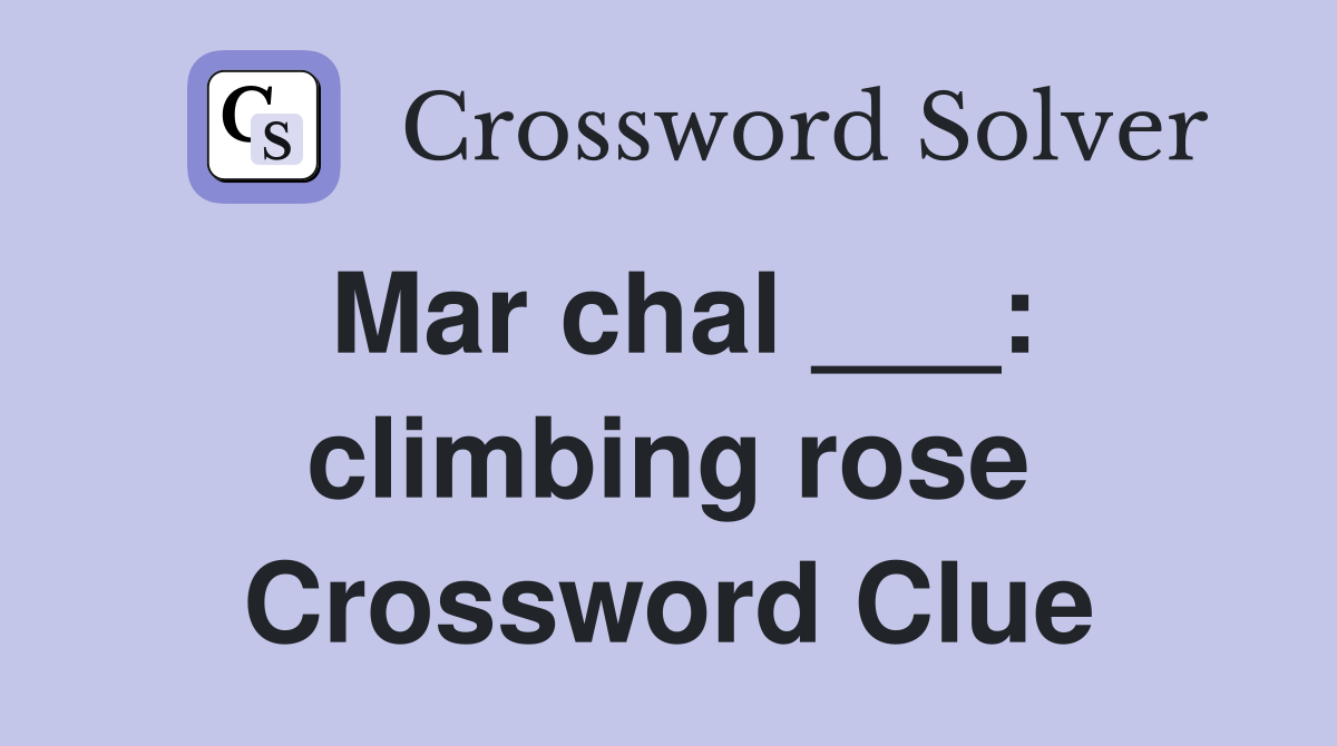 Mar chal ___: climbing rose Crossword Clue