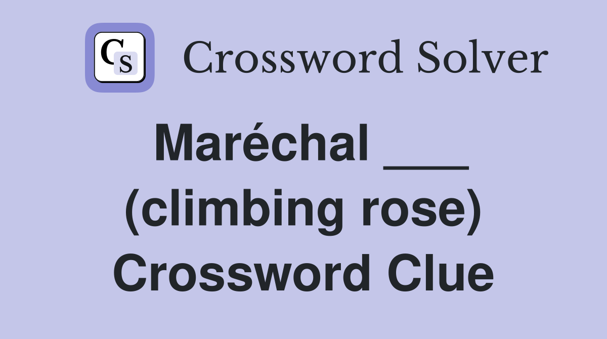 Maréchal ___ (climbing rose) Crossword Clue