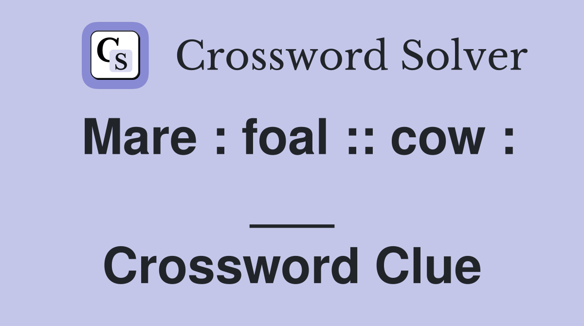Mare : foal :: cow : ___ Crossword Clue
