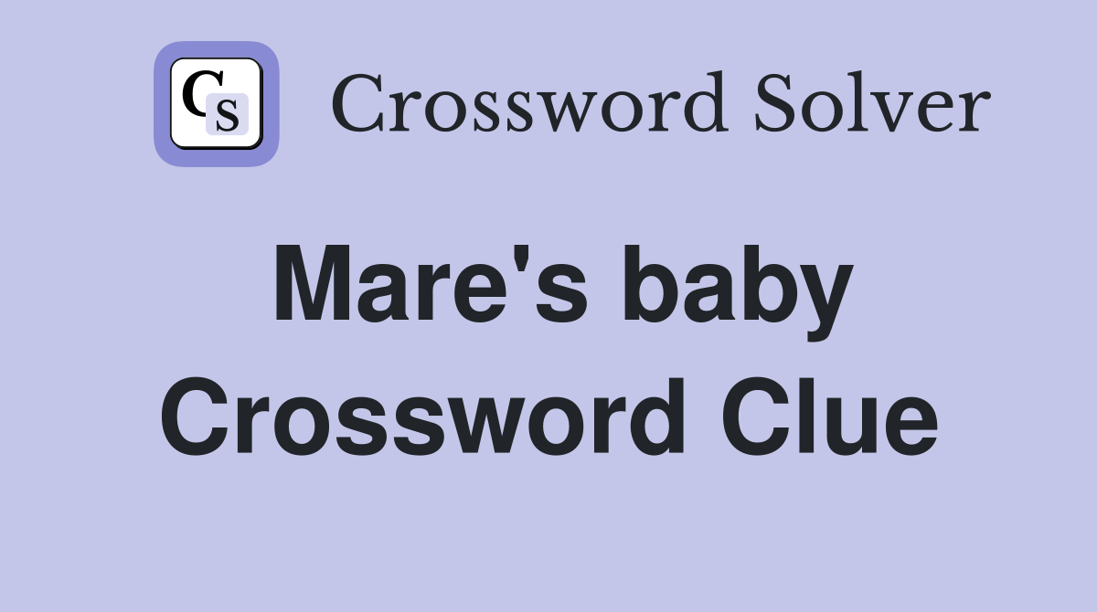 Mare's baby Crossword Clue