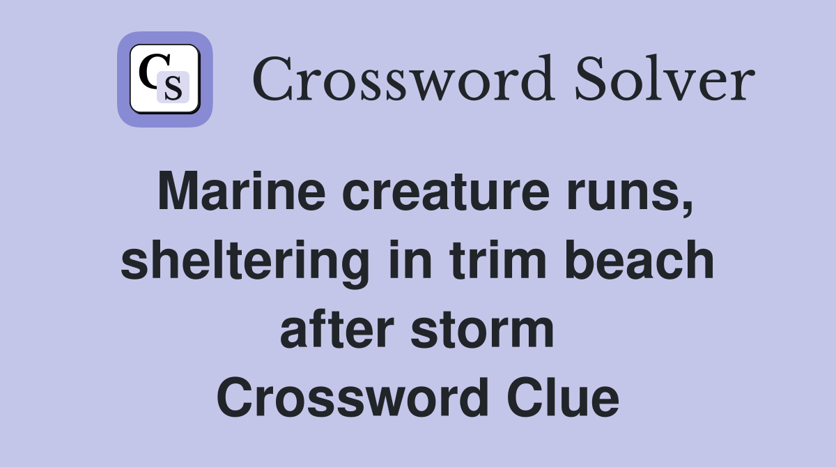 Marine creature runs, sheltering in trim beach after storm Crossword Clue