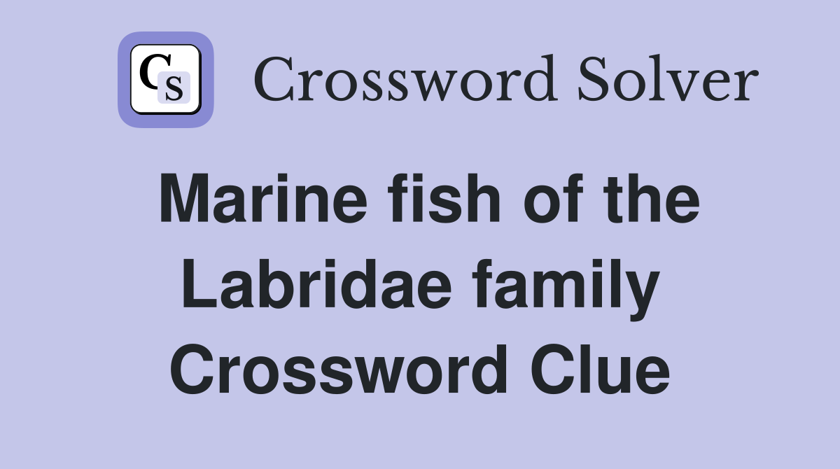 Marine fish of the Labridae family Crossword Clue