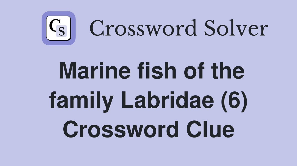 Marine fish of the family Labridae (6) Crossword Clue
