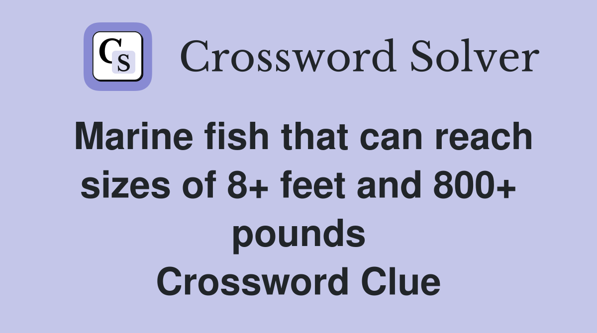 Marine fish that can reach sizes of 8  feet and 800  pounds Crossword