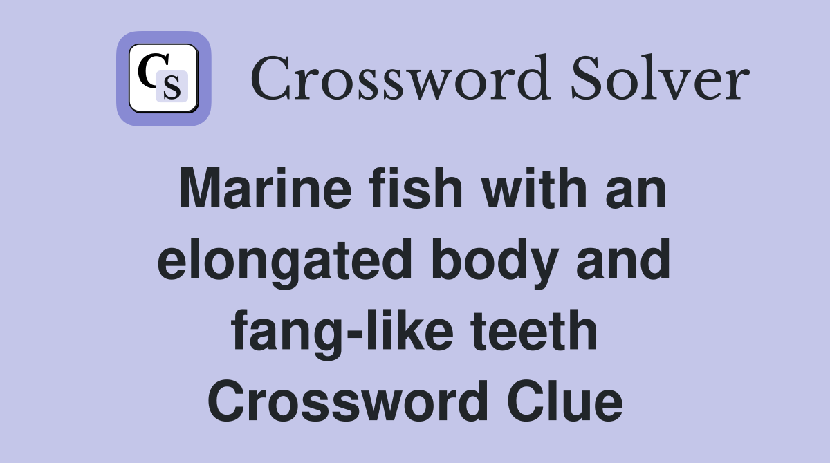 Marine fish with an elongated body and fang-like teeth Crossword Clue