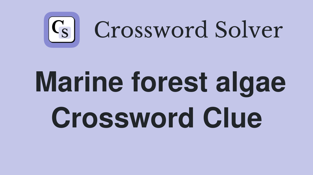 Marine forest algae Crossword Clue