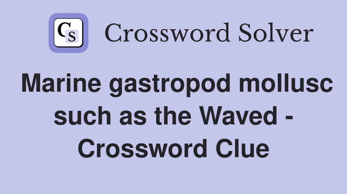 Marine gastropod mollusc such as the Waved - Crossword Clue