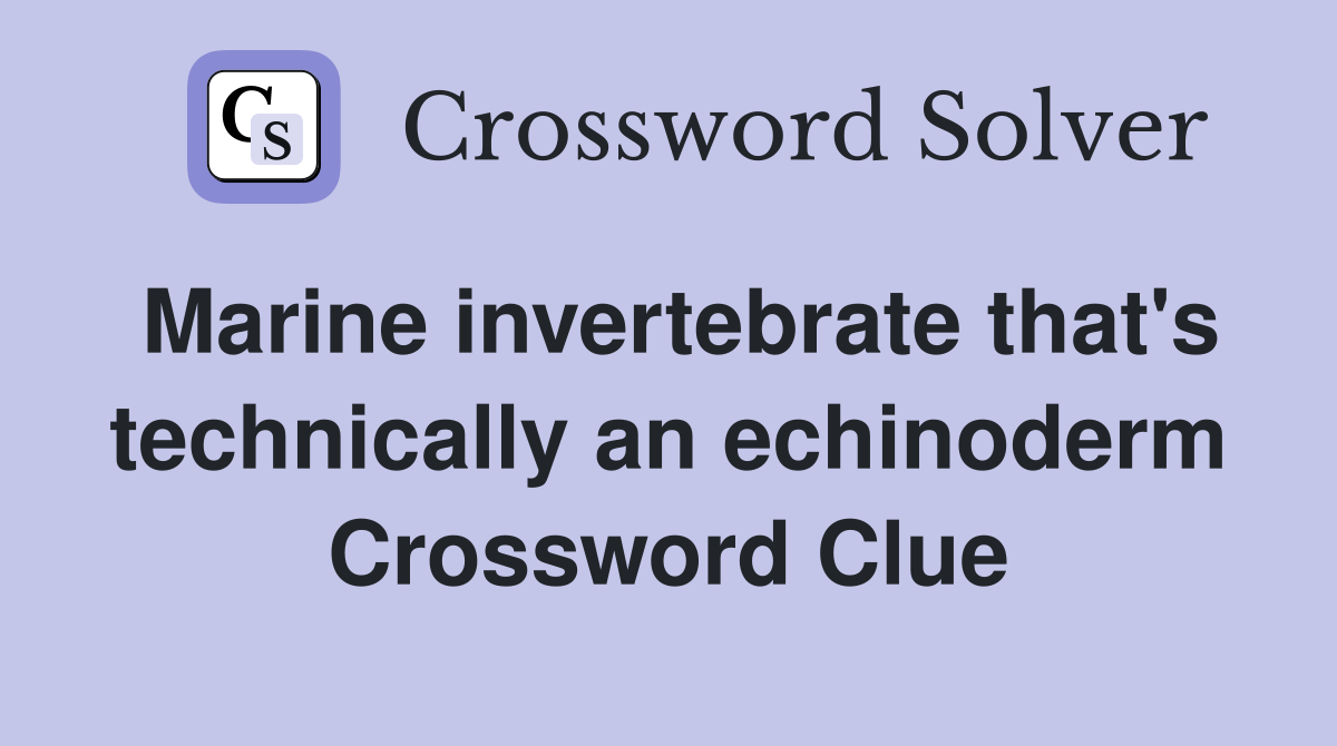 Marine invertebrate that's technically an echinoderm Crossword Clue